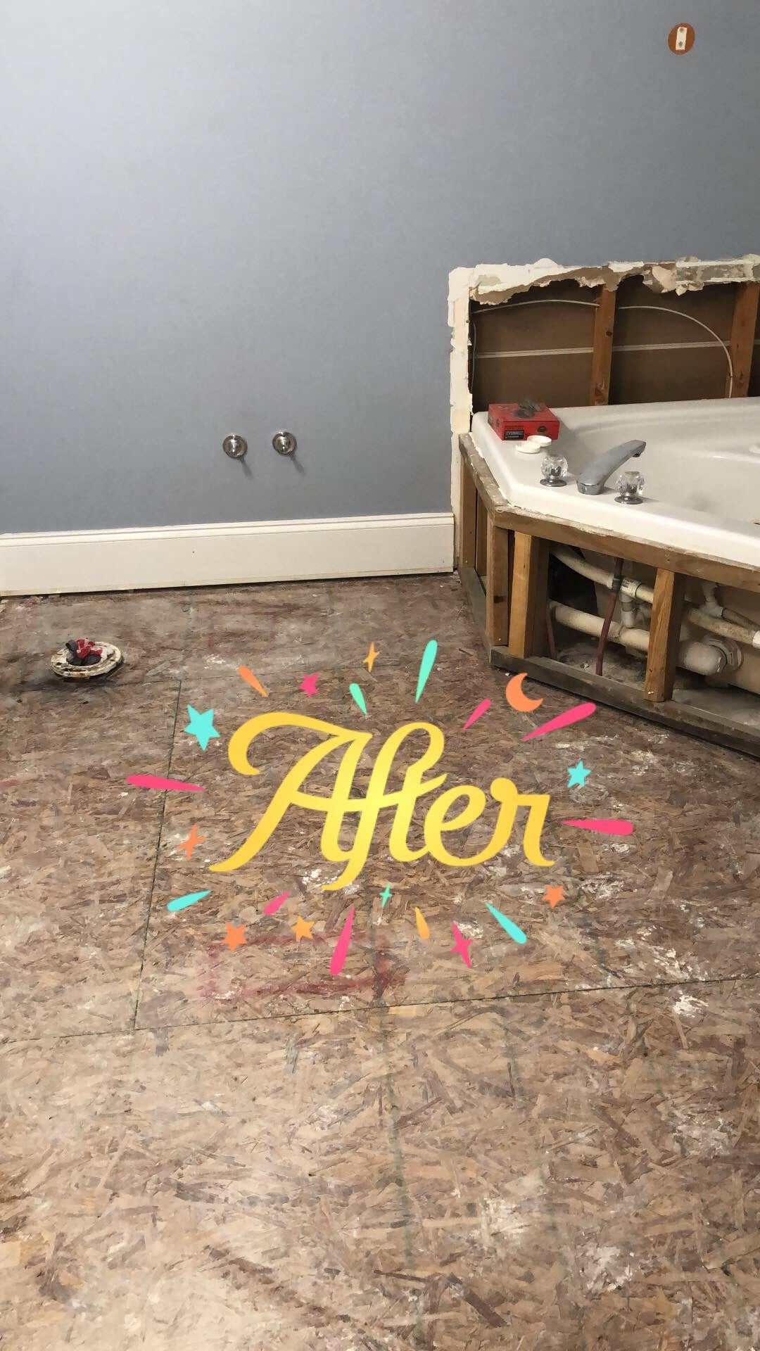 One Room Challenge- Master Bathroom Demo - Cribbs Style