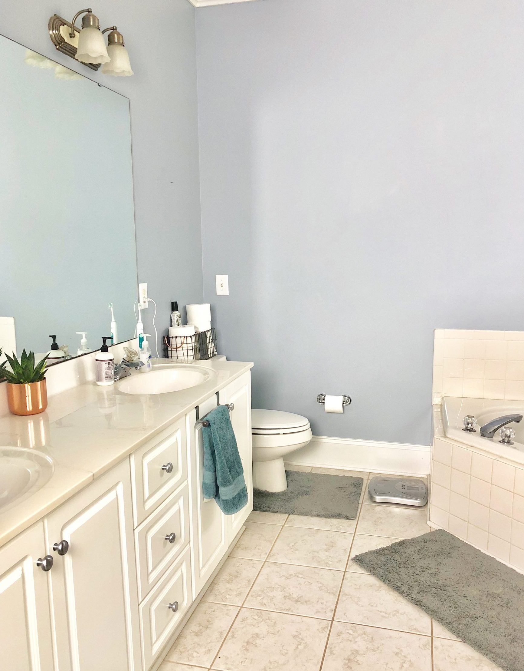 One Room Challenge- Master Bathroom Demo - Cribbs Style